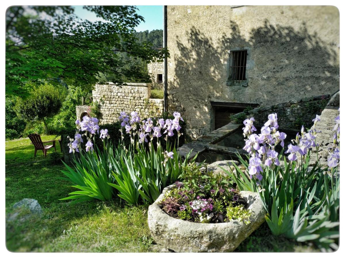 Hélianthy- Gîte 10 personnes en Sud Ardèche Sanilhac  Esterno foto